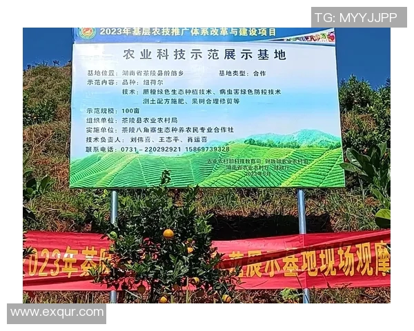 果园生态种植与可持续发展探索：从土壤管理到果品品质提升的综合路径